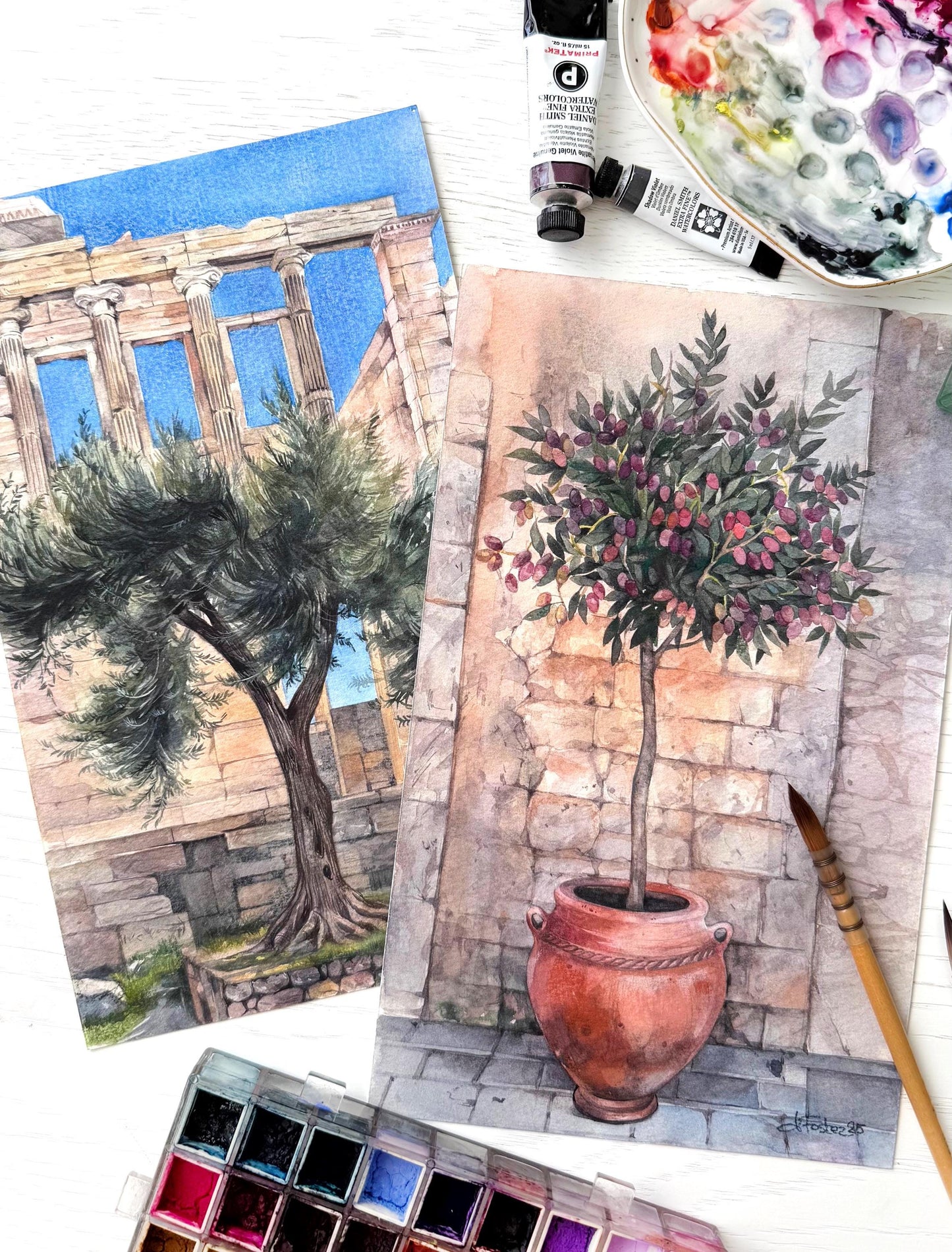 Athena's Gift. Original watercolor painting.