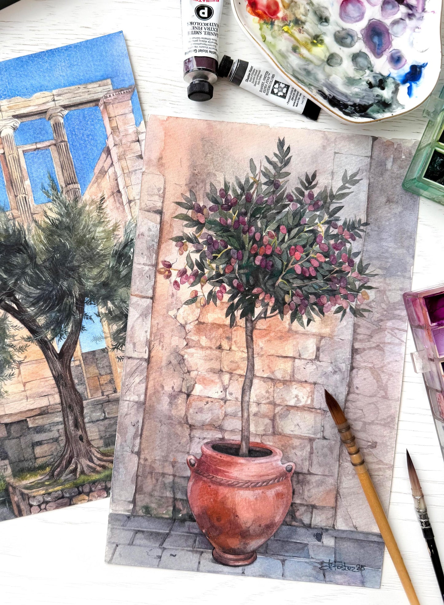 Young Greek Olive. Original watercolor painting. Wall Art.