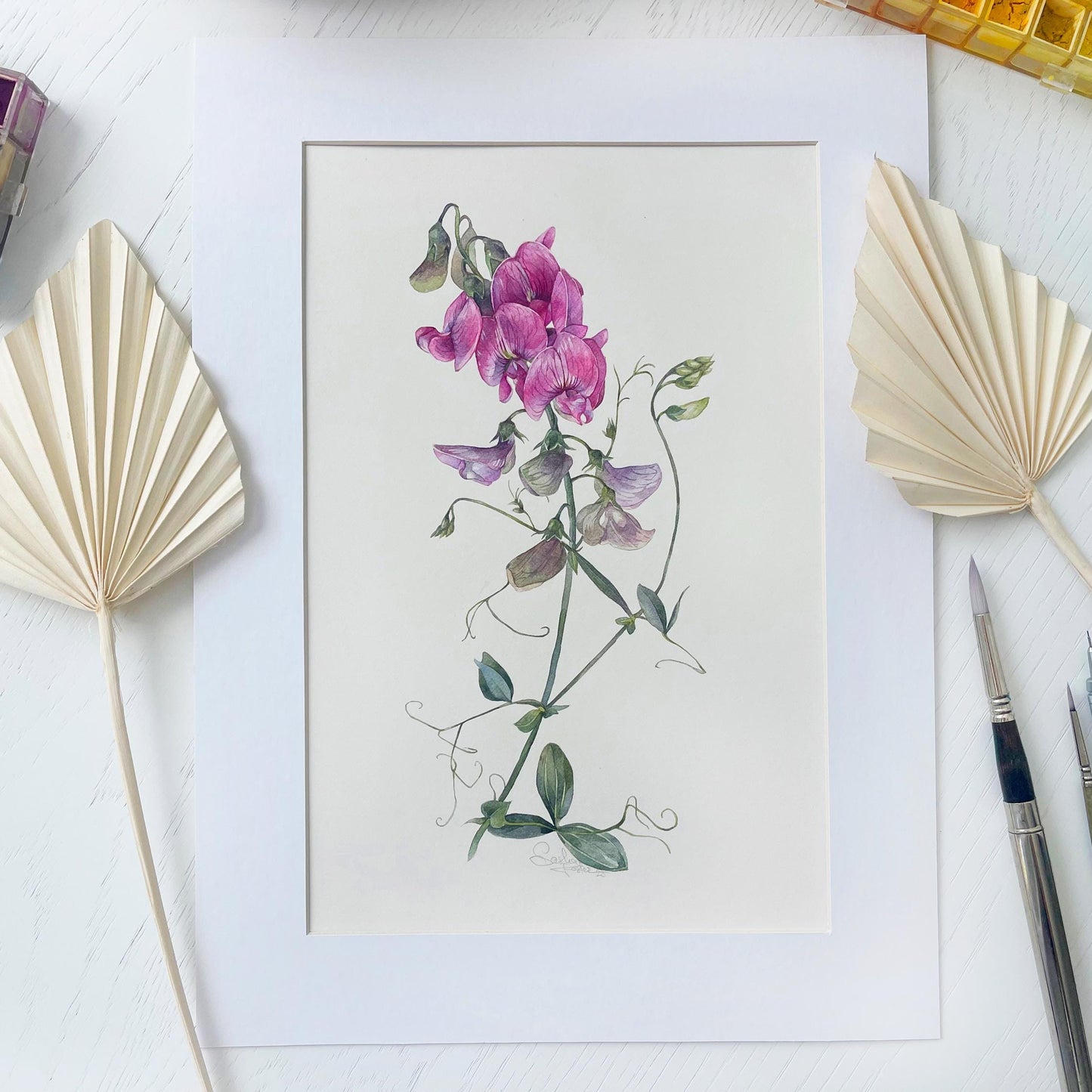 Sweet Pea Wildflowers. Original watercolor painting.