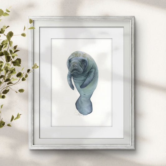 Baby Manatee. Original watercolor painting.
