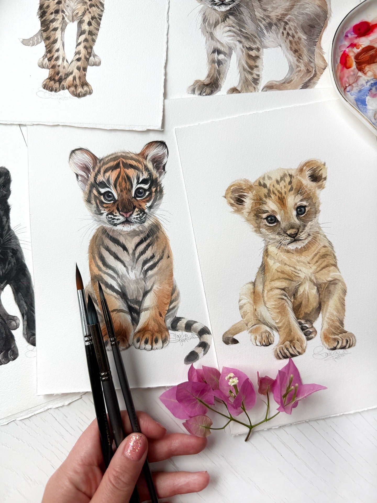 Baby Lion. Original watercolor painting.