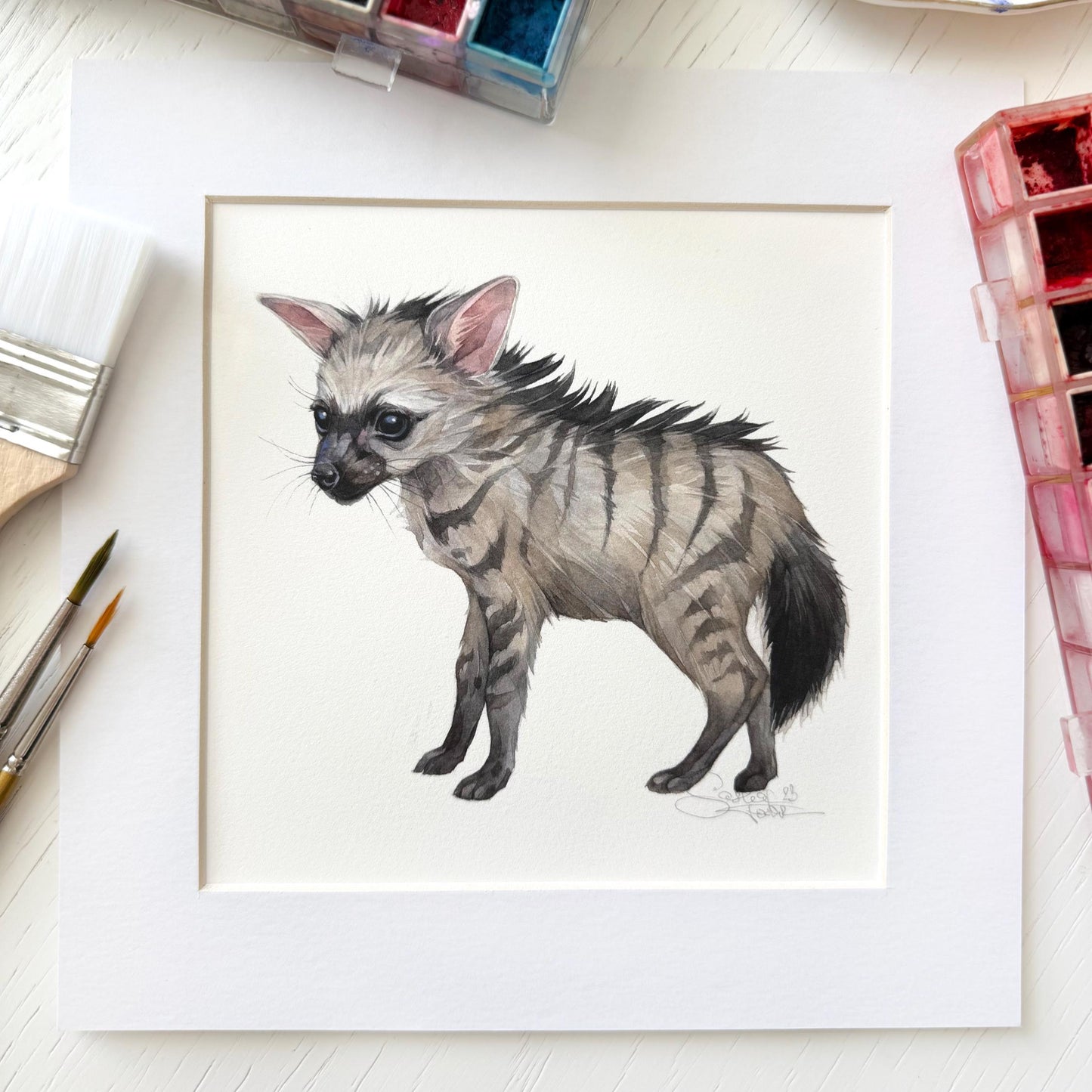 Baby Aardwolf. Original watercolor painting.