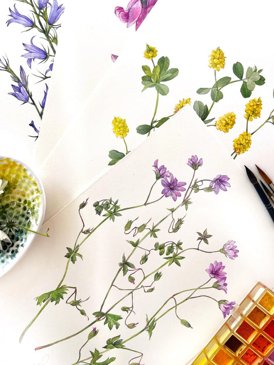 Purple wildflowers. Original watercolor painting.