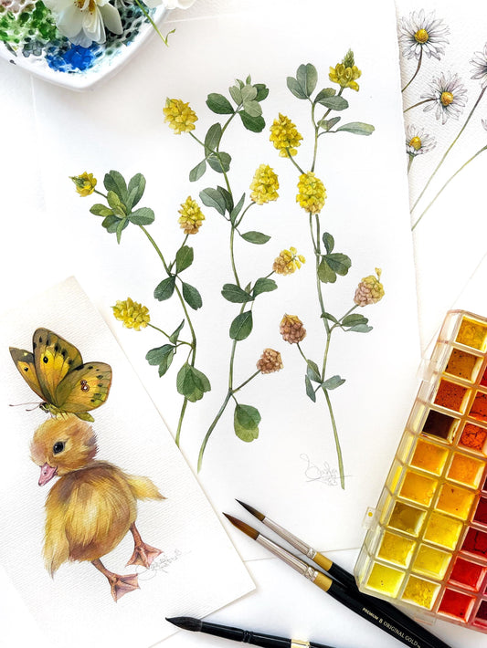 Yellow wildflowers. Original watercolor painting.