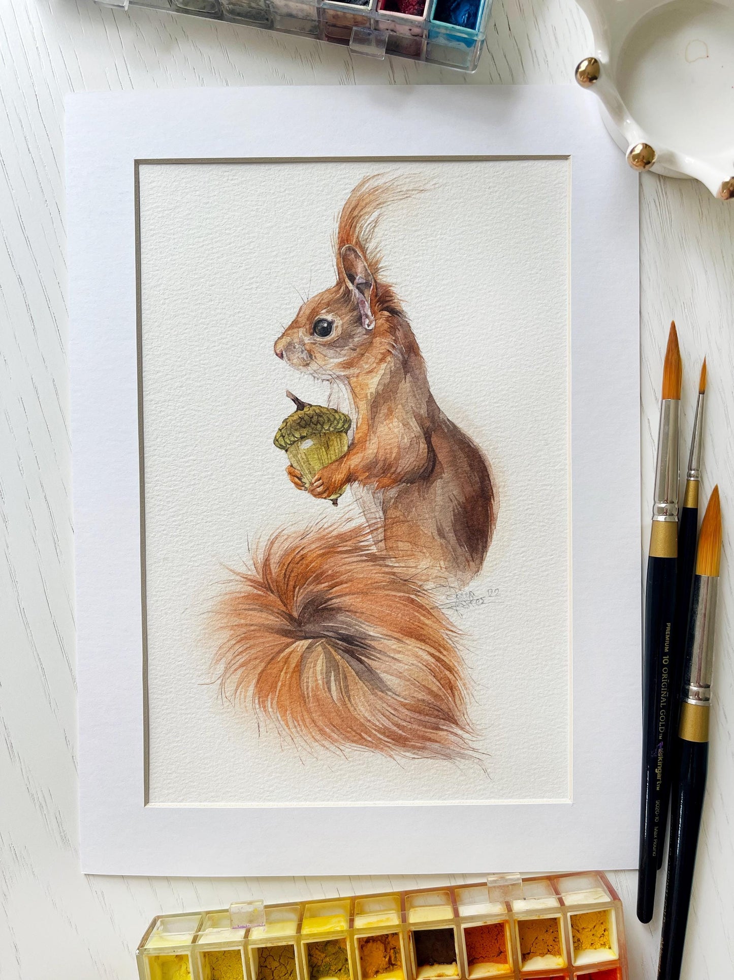 Harald the Squarell. Original watercolor painting.