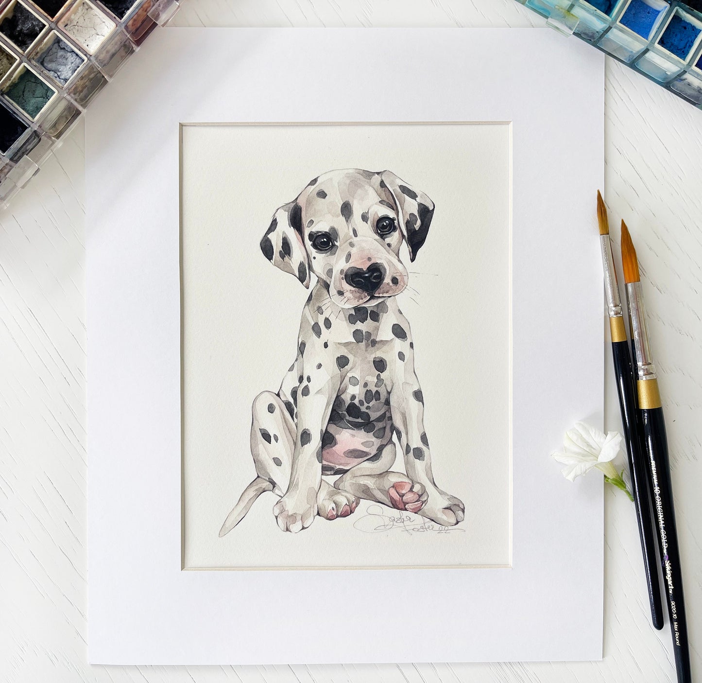 Baby Dalmatian. Original watercolor painting.