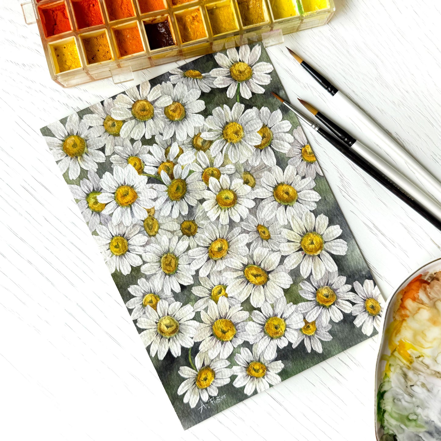 All the Daisies. Original watercolor painting.