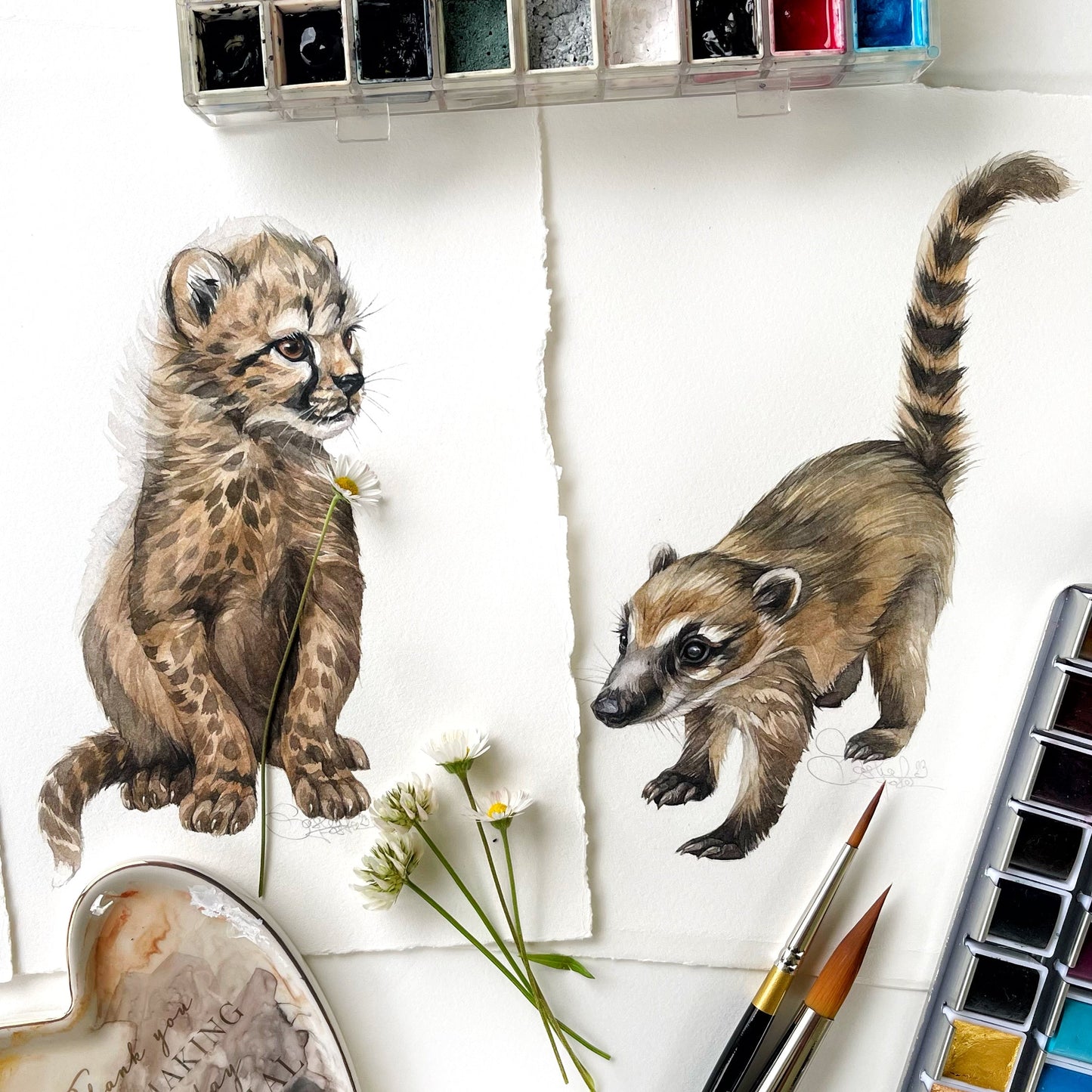 Baby Coati. Original watercolor painting.