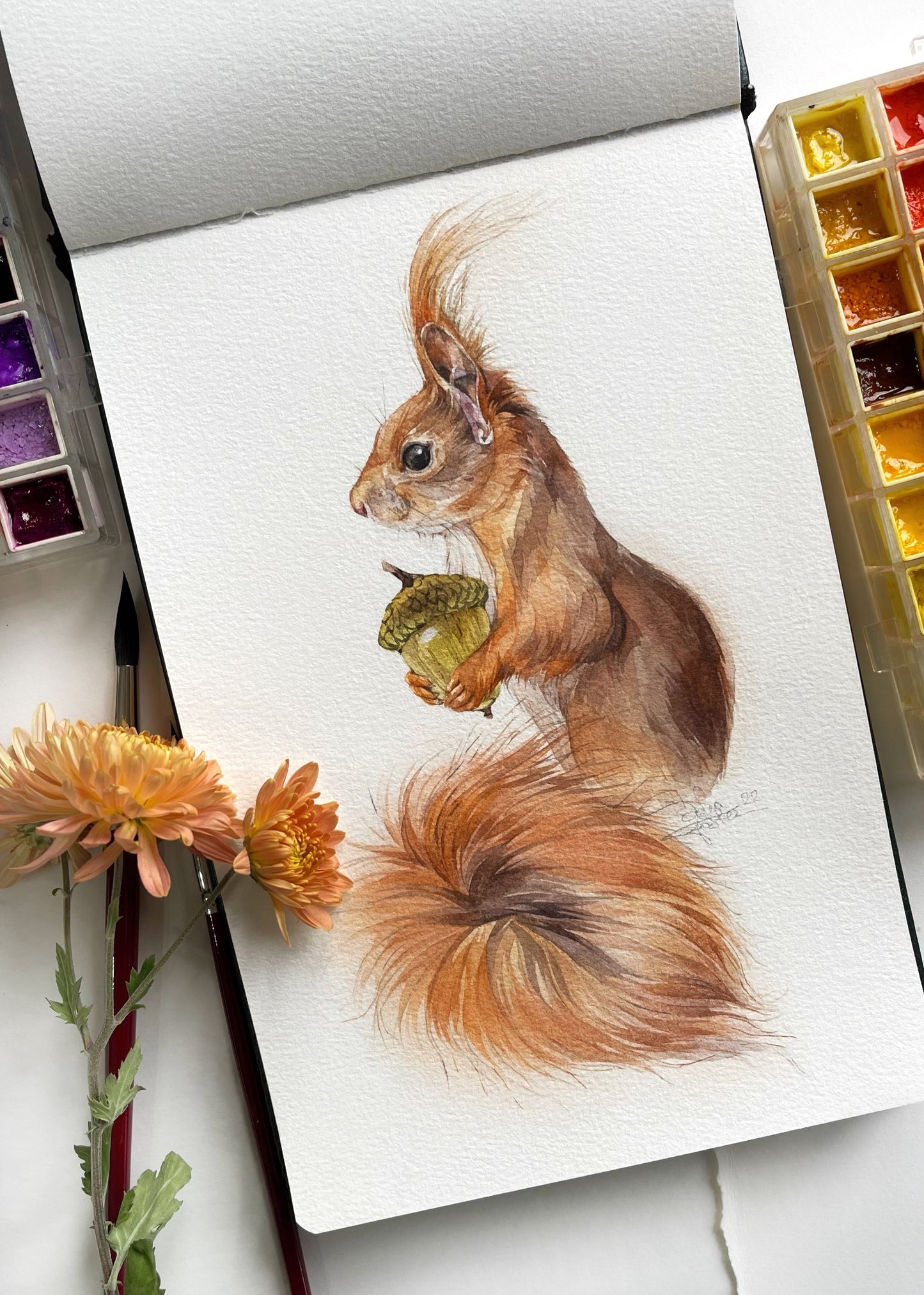 Harald the Squarell. Original watercolor painting.