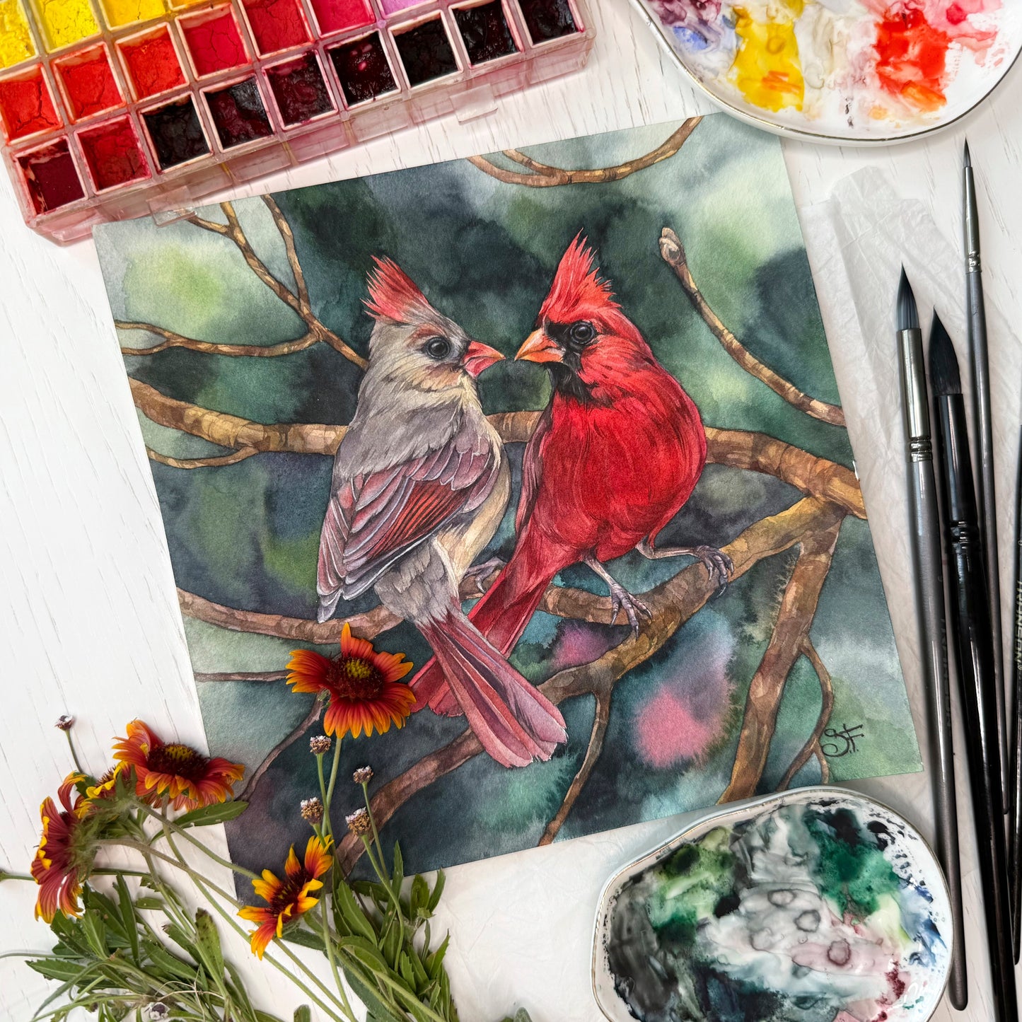 A Cardinal Love. Fine Art Print.