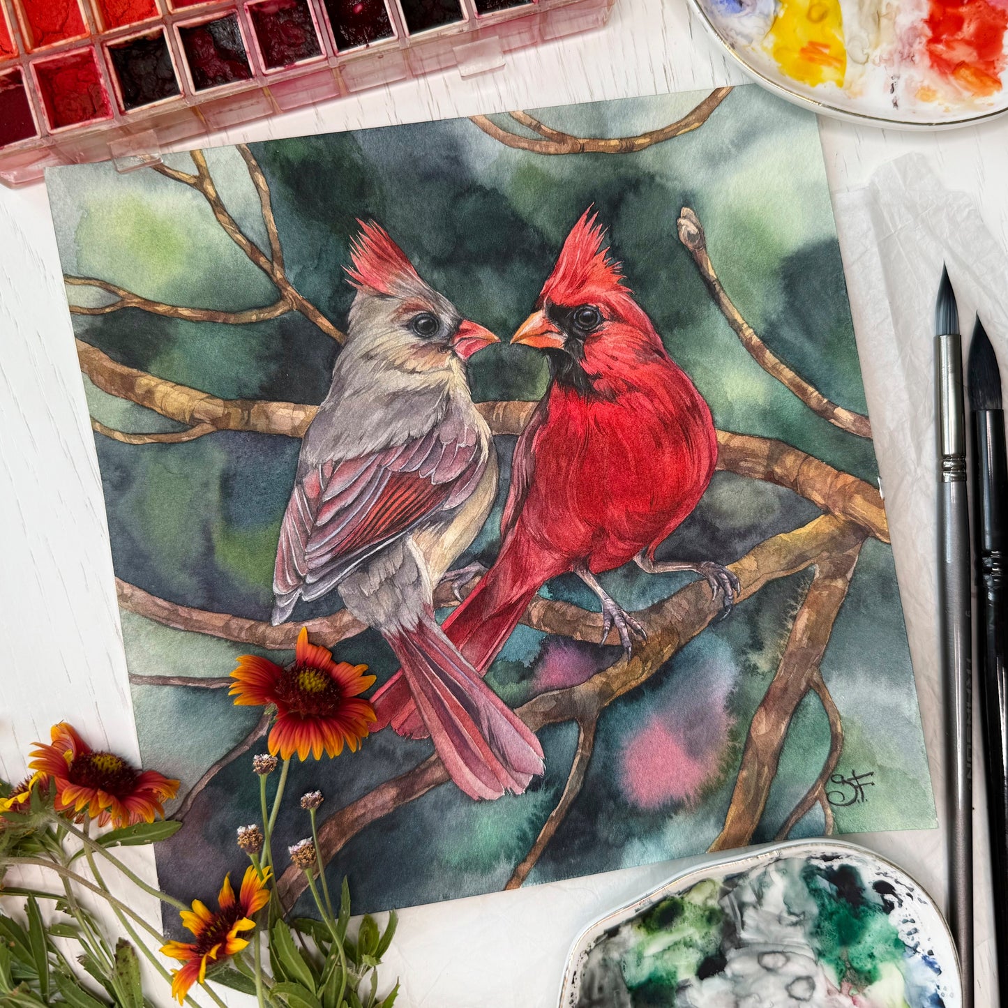 A Cardinal Love. Fine Art Print.