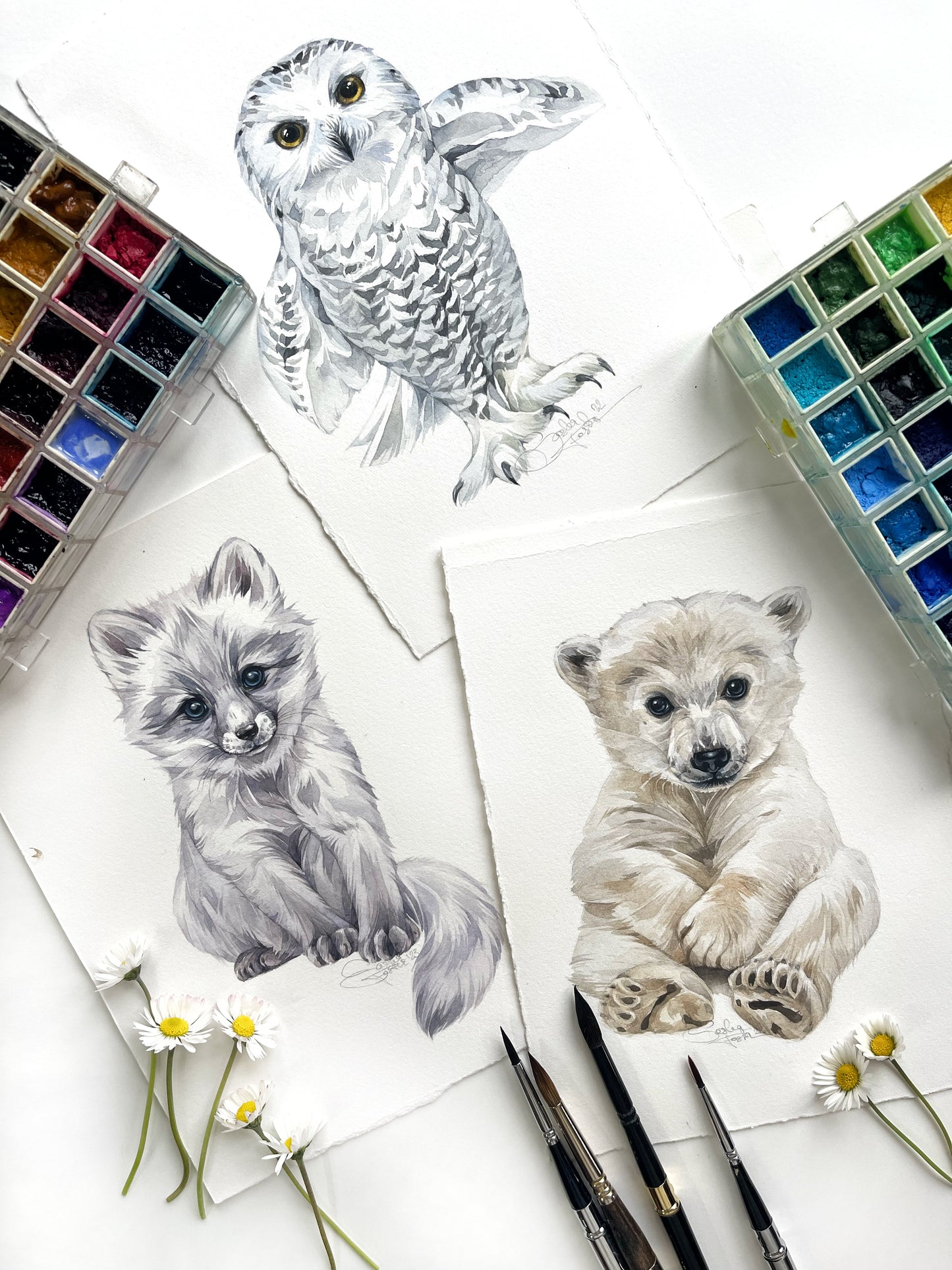 Alisa the Polar Fox. Original watercolor painting.