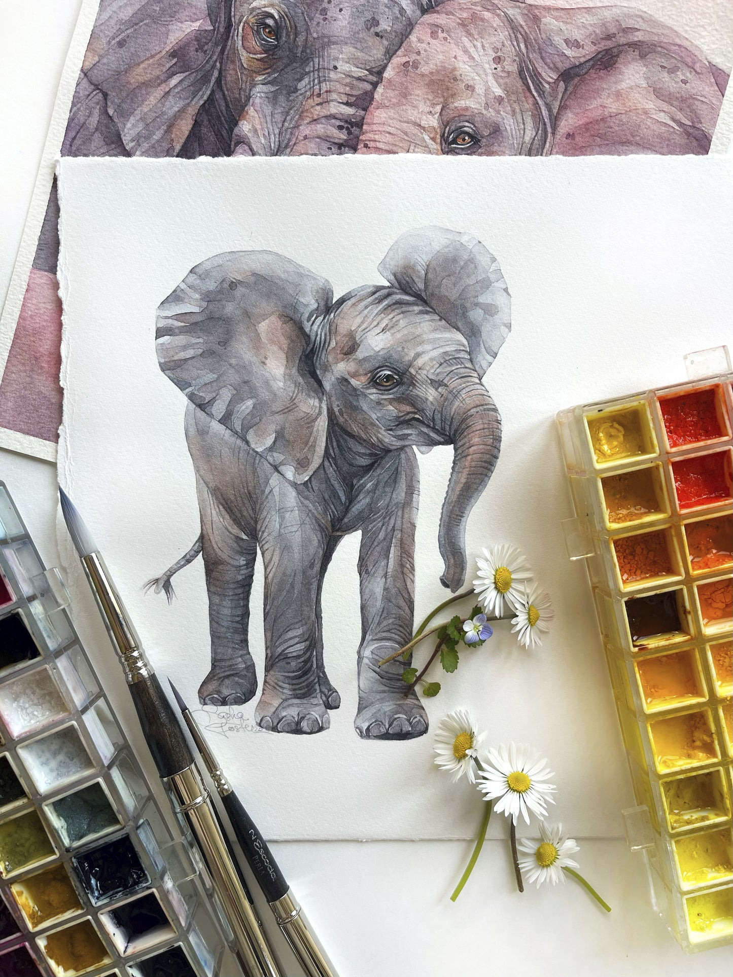 Baby Elephant. Original watercolor painting.