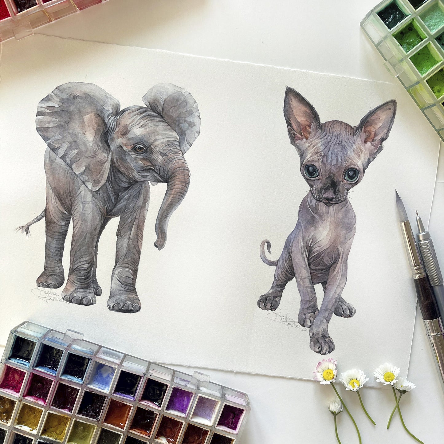 Baby Elephant. Original watercolor painting.