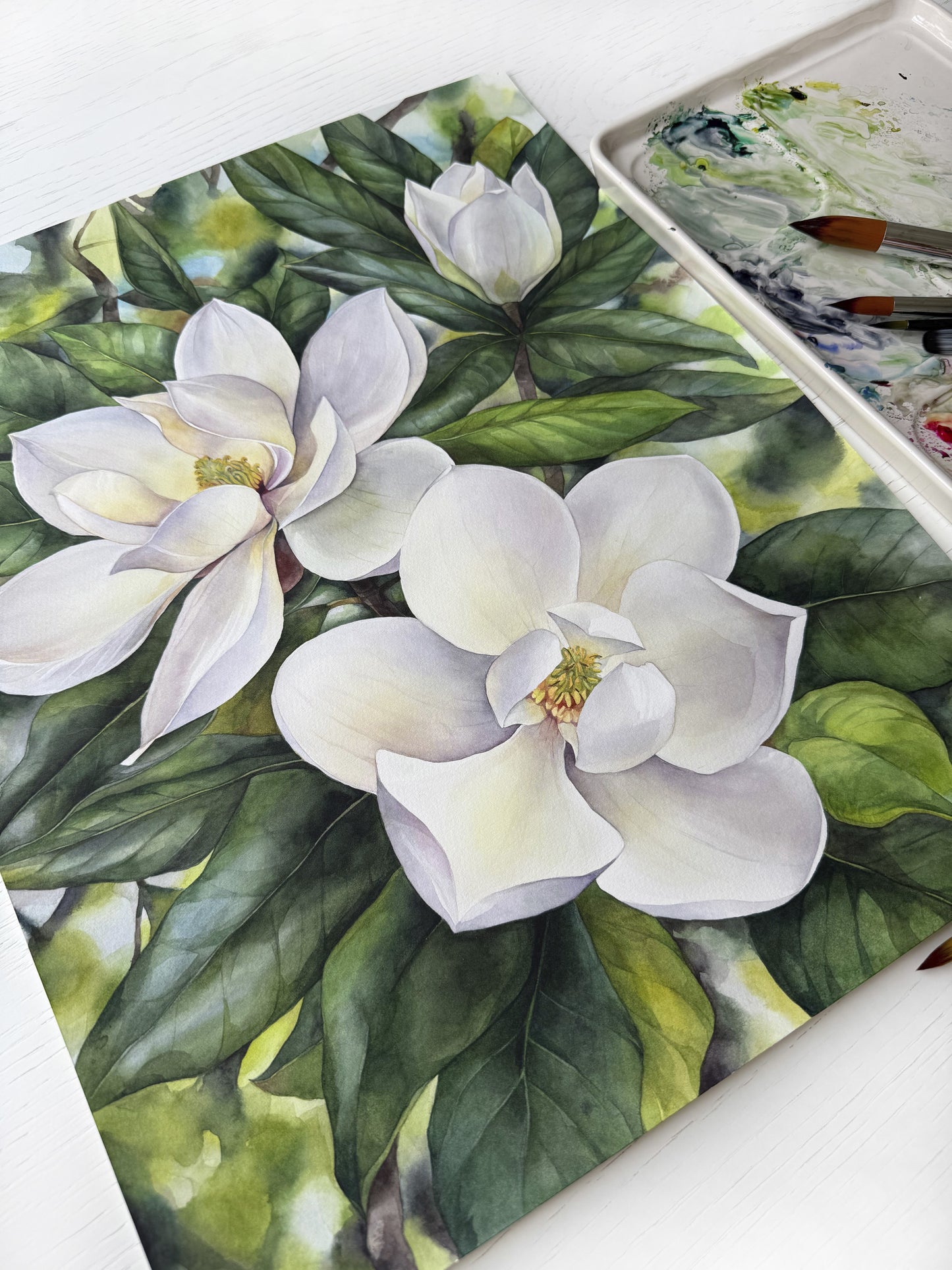 Southern Magnolias. Original watercolor painting.