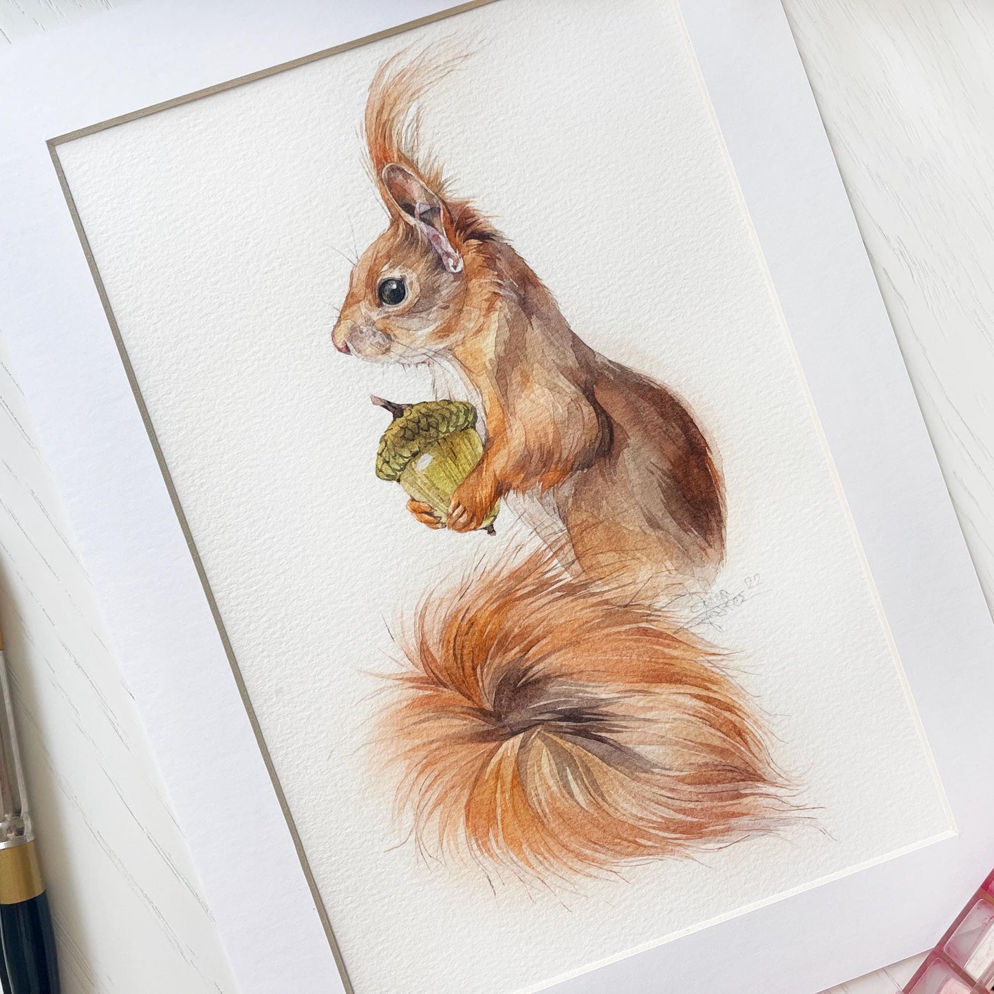 Harald the Squarell. Original watercolor painting.