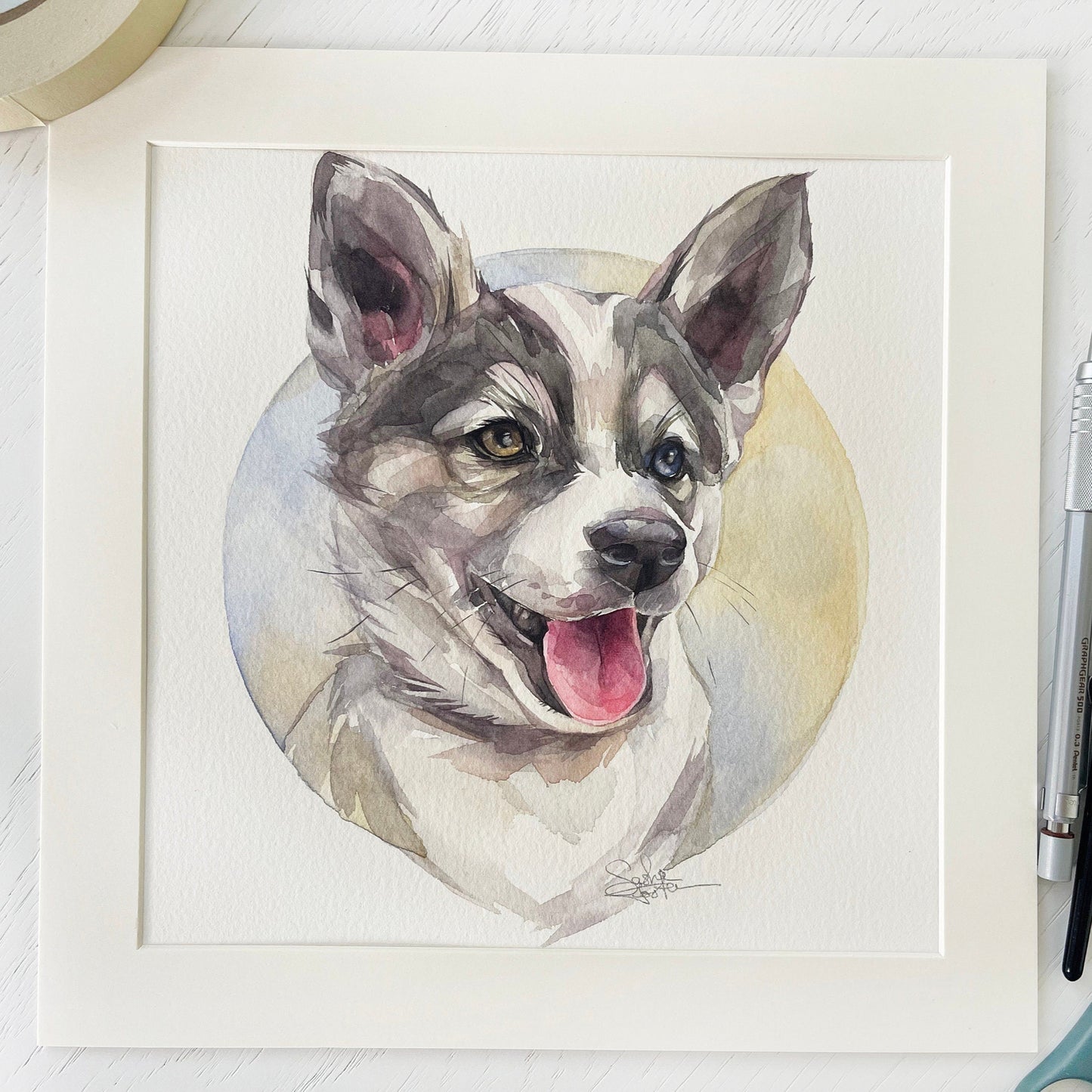 Albert the Husky. Original watercolor painting.