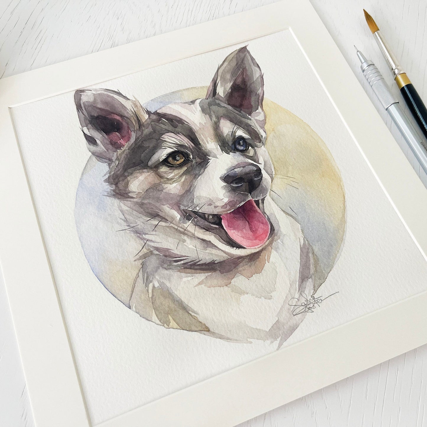 Albert the Husky. Original watercolor painting.