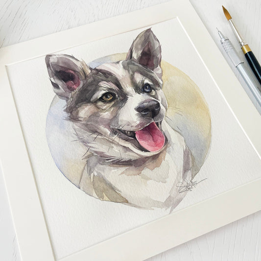 Albert the Husky. Original watercolor painting.