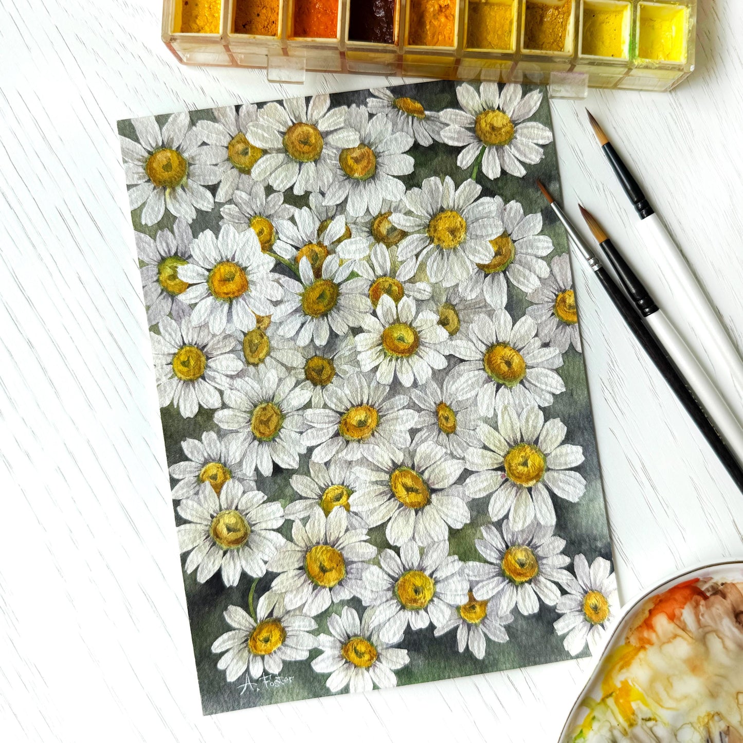 All the Daisies. Original watercolor painting.