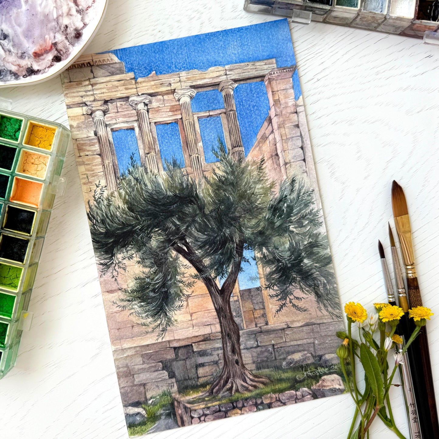 Athena's Gift. Original watercolor painting.