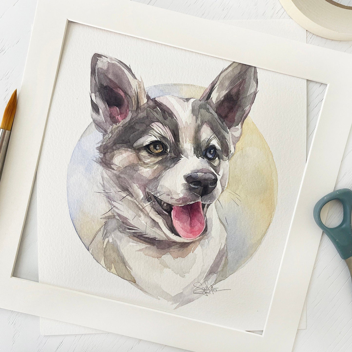 Albert the Husky. Original watercolor painting.