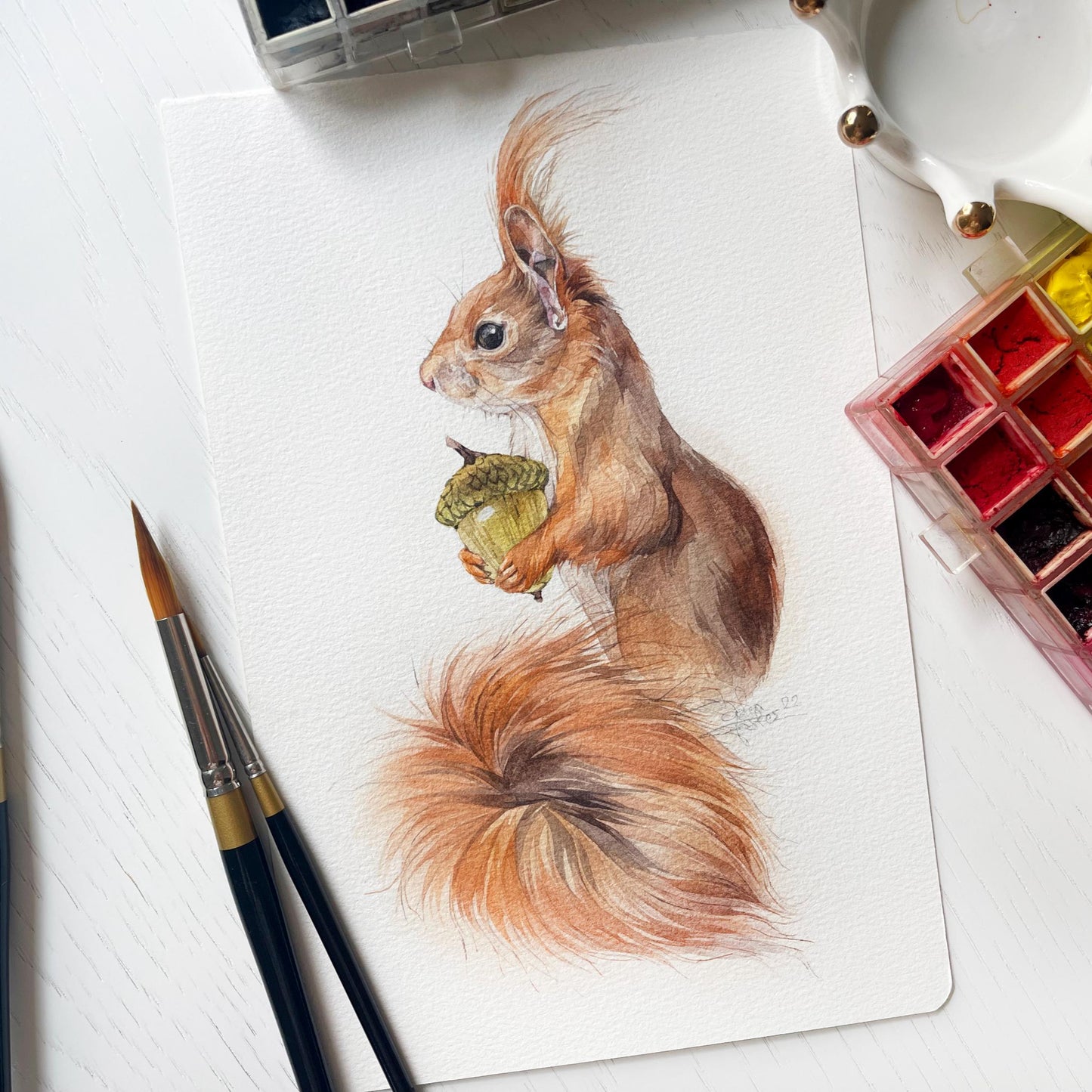 Harald the Squarell. Original watercolor painting.