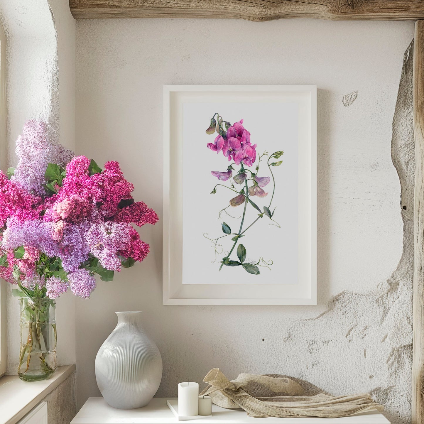 Graceful Sweet Pea. Fine Art Print.