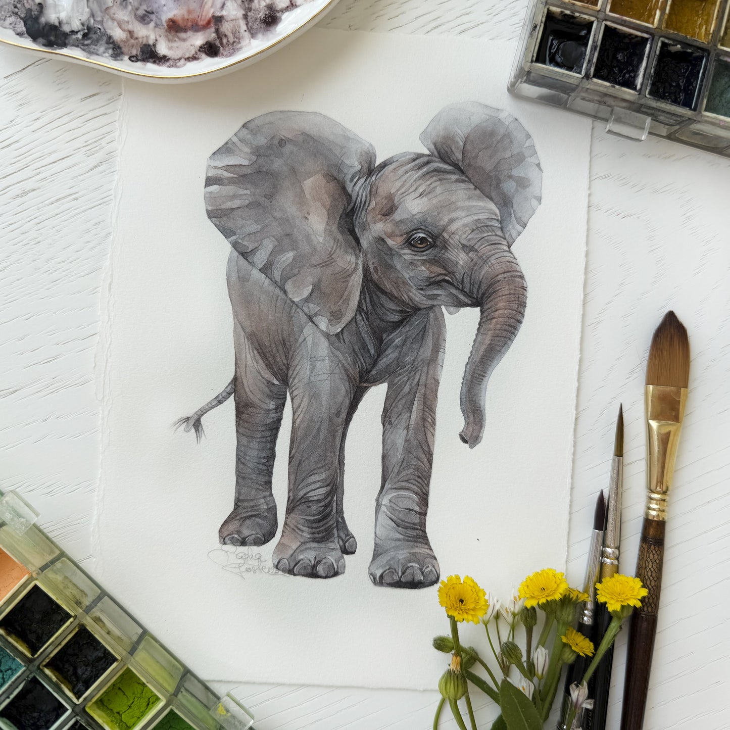 Baby Elephant. Original watercolor painting.