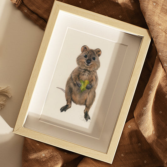 Baby Quokka. Original watercolor painting.