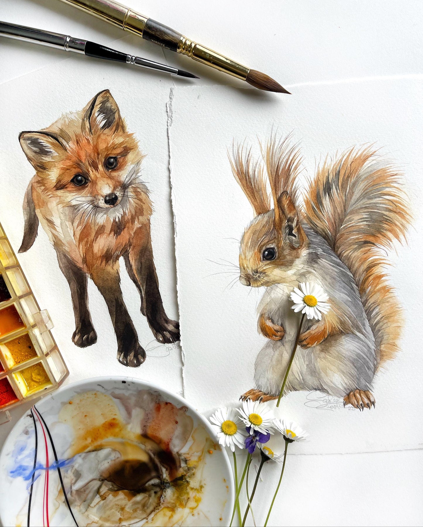 Suspicious Squirrel. Original watercolor painting.