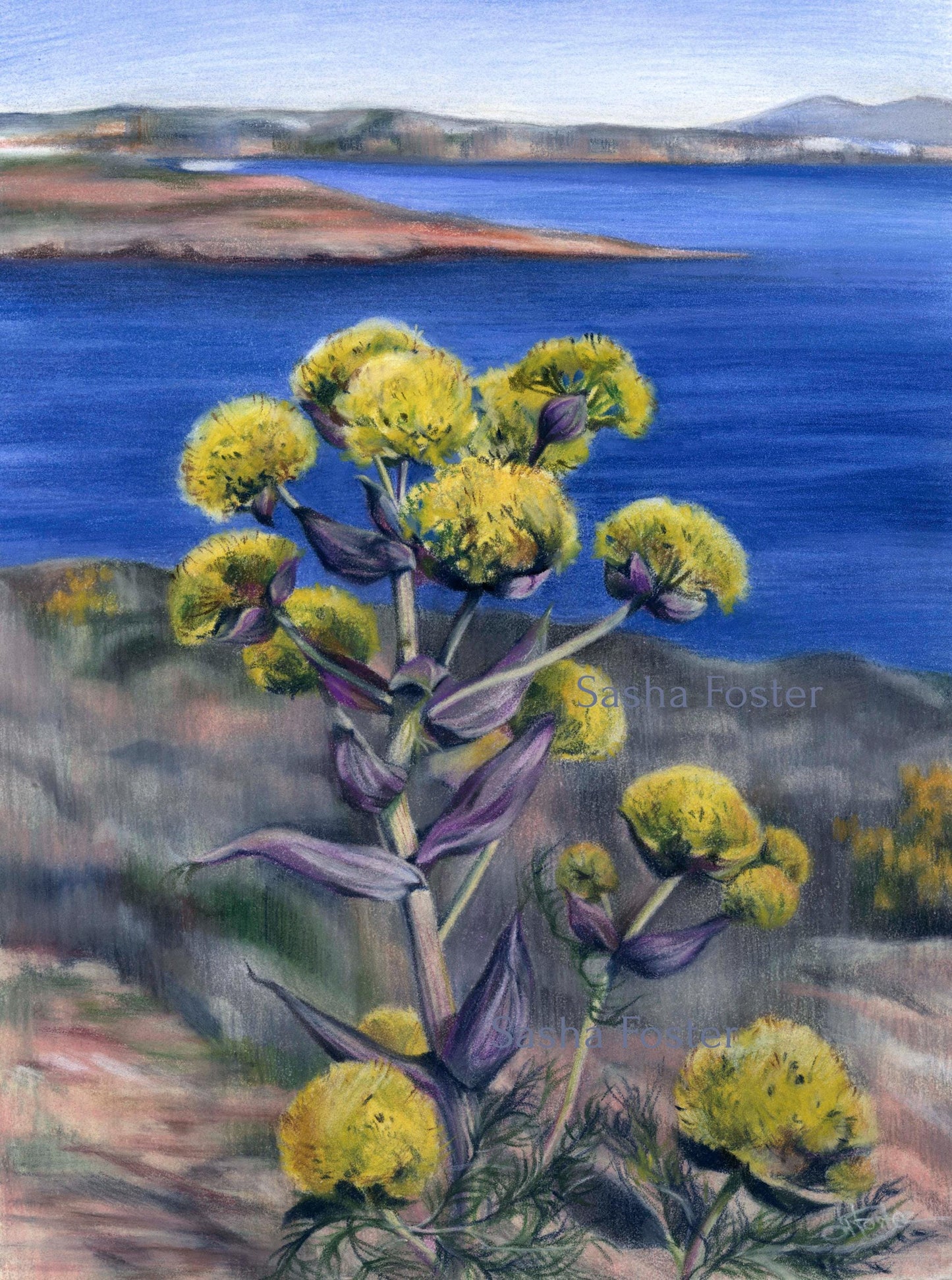 Seaside Blossoms. Original hand-painted artwork.