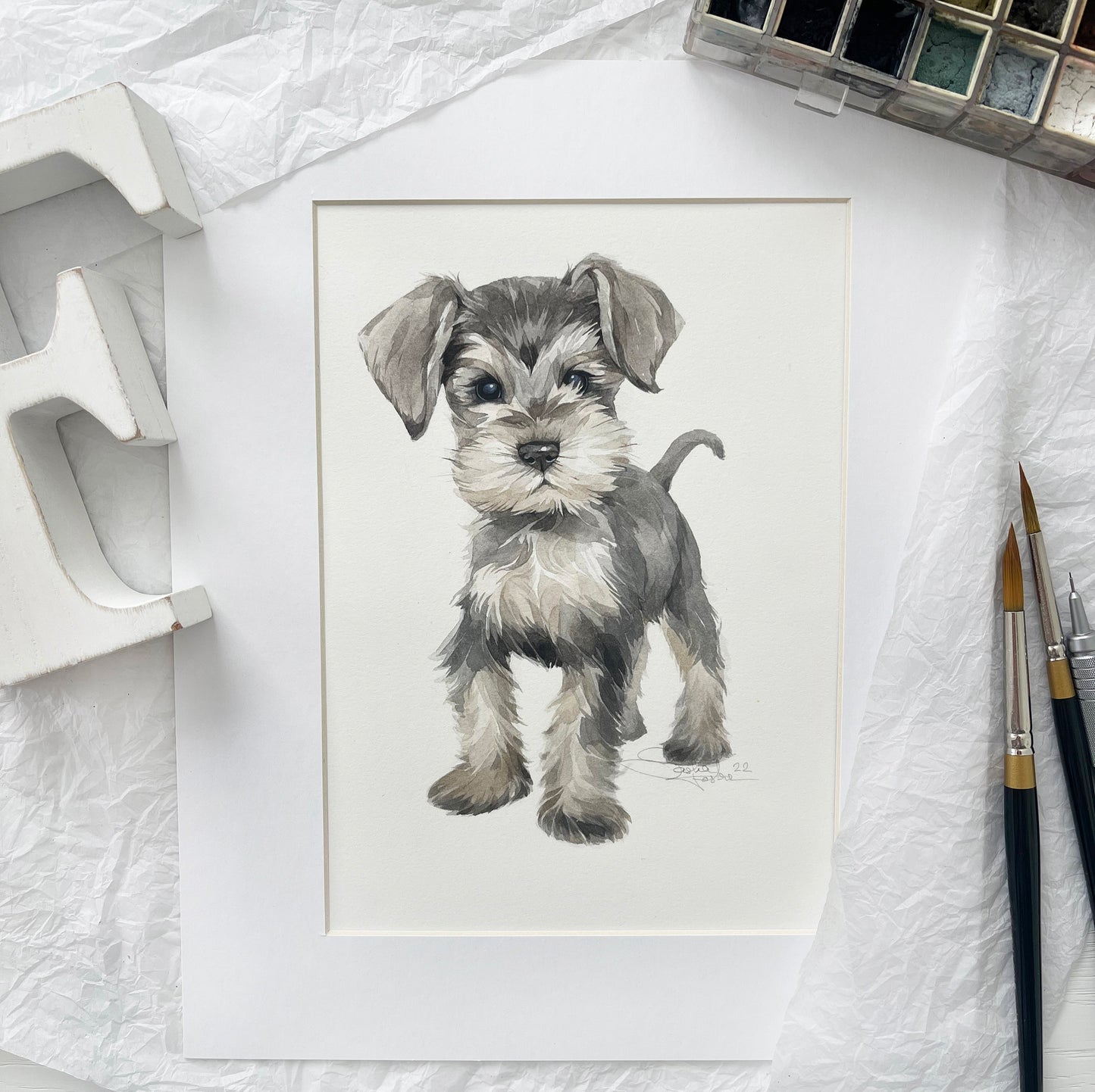 Baby Schnauzer. Original watercolor painting.
