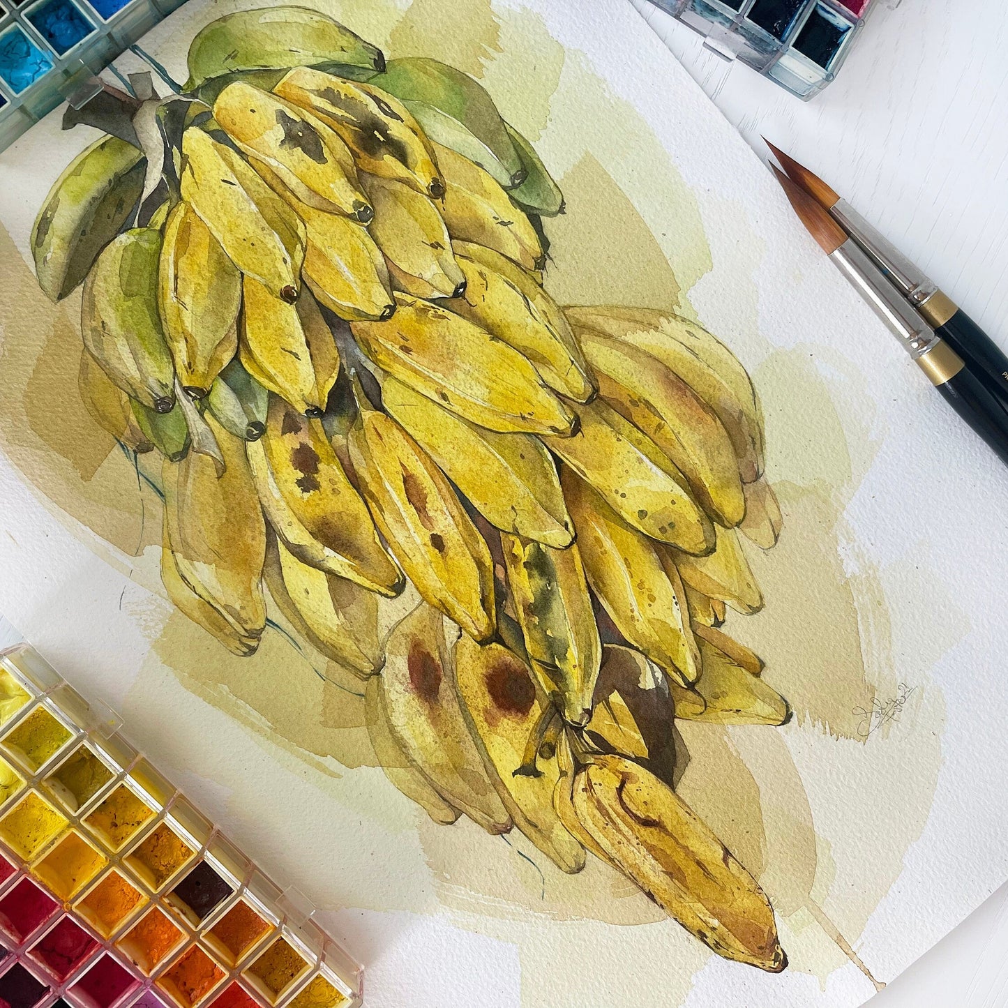Panamanian Bananas. Original watercolor painting.