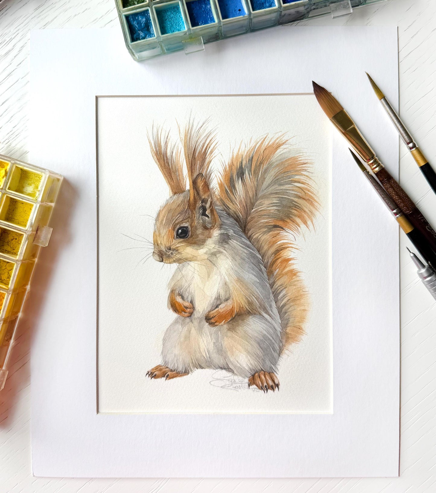 Suspicious Squirrel. Original watercolor painting.