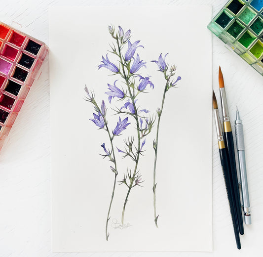 Montenegrin wildflowers. Original watercolor painting.