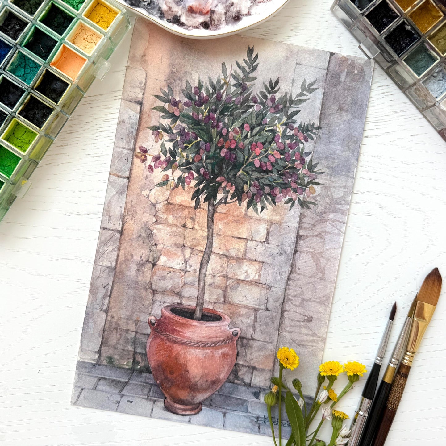 Young Greek Olive. Original watercolor painting. Wall Art.