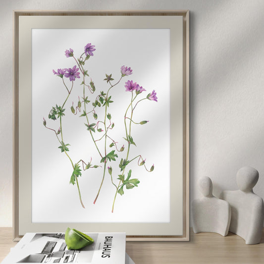 Purple wildflowers. Original watercolor painting.