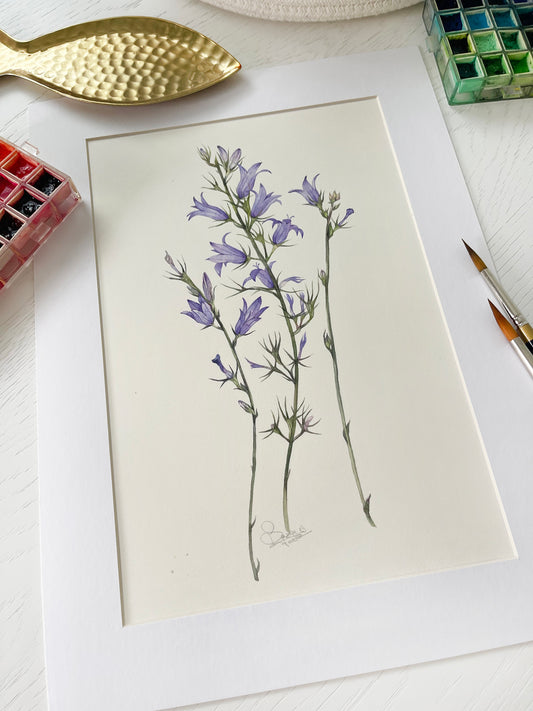 Montenegrin wildflowers. Original watercolor painting.