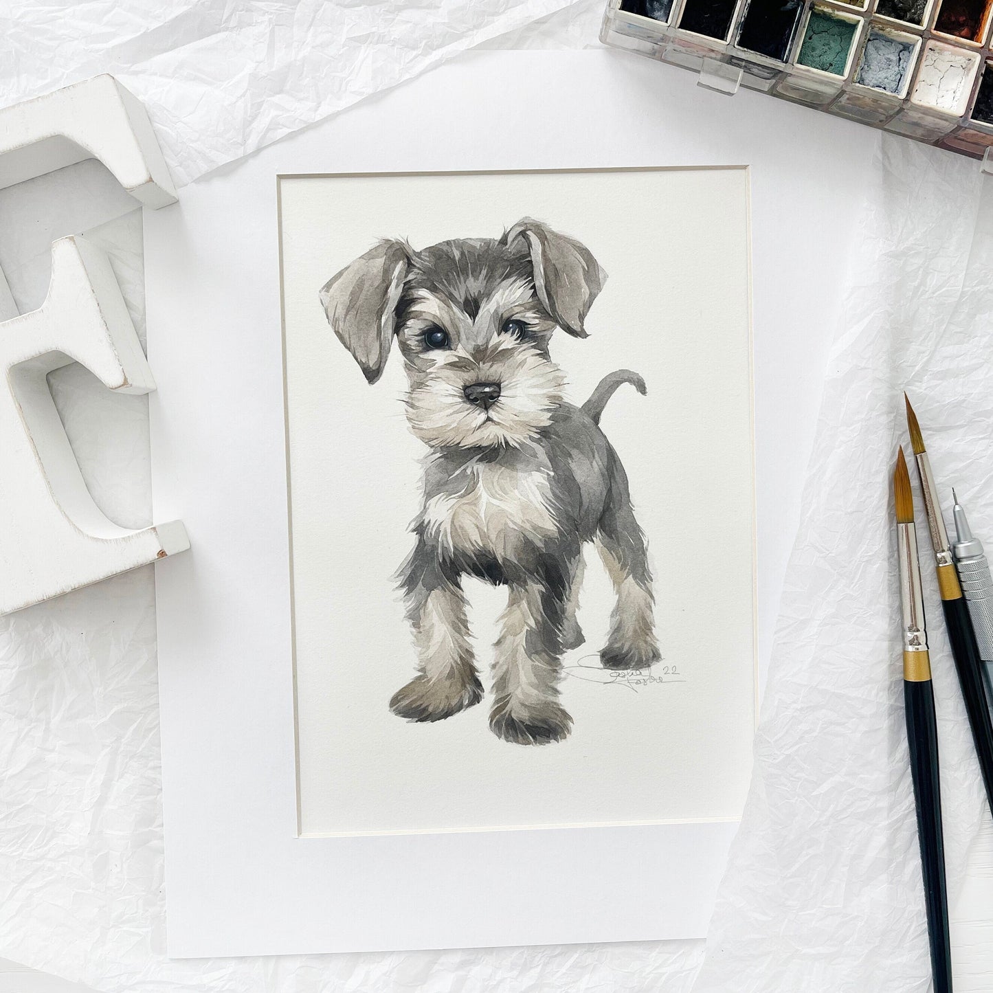 Baby Schnauzer. Original watercolor painting.