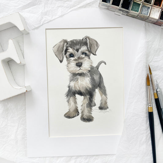 Baby Schnauzer. Original watercolor painting.