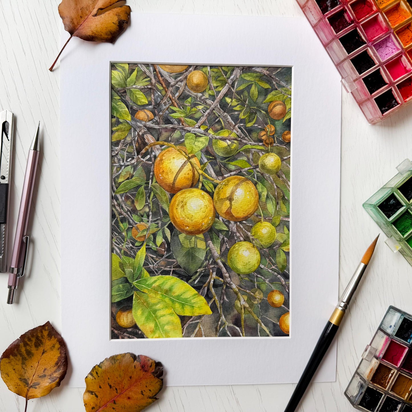 Sunkissed Citrus. Original watercolor painting.