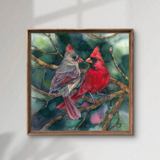 A Cardinal Love. Fine Art Print.