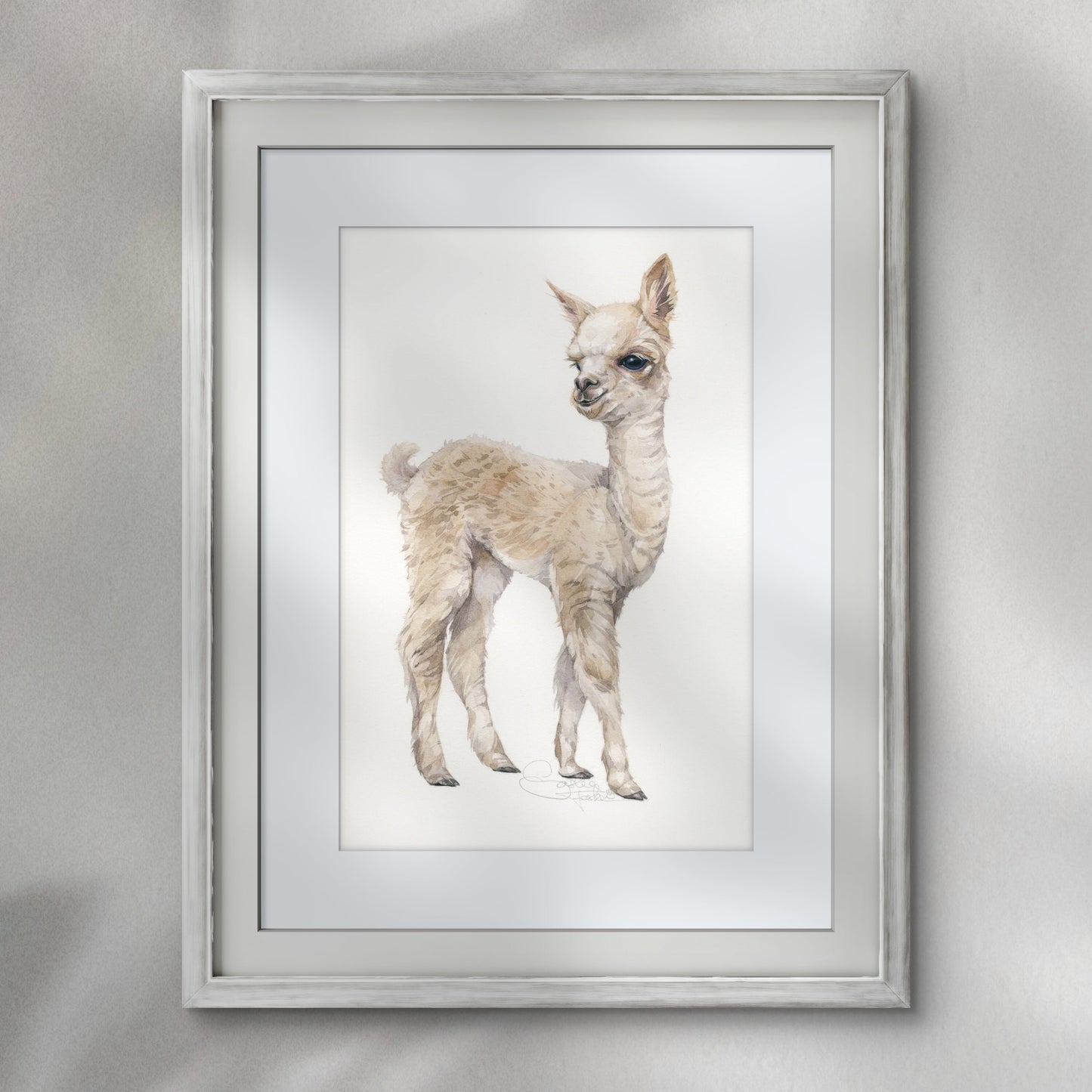 Baby Alpaca. Original watercolor painting.