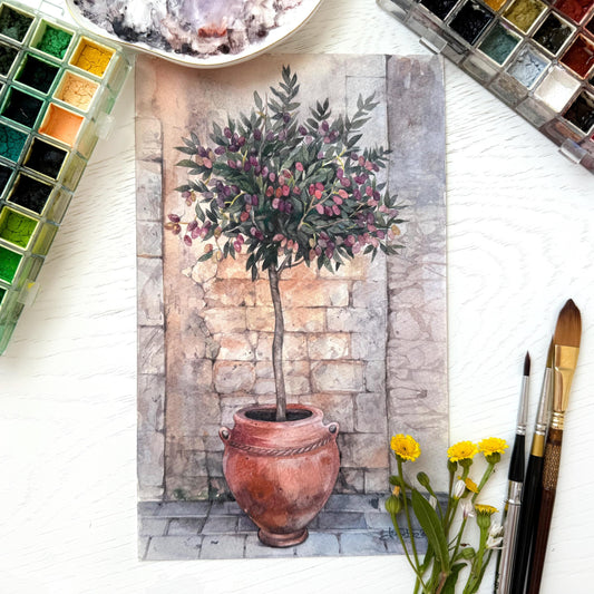 Young Greek Olive. Original watercolor painting. Wall Art.