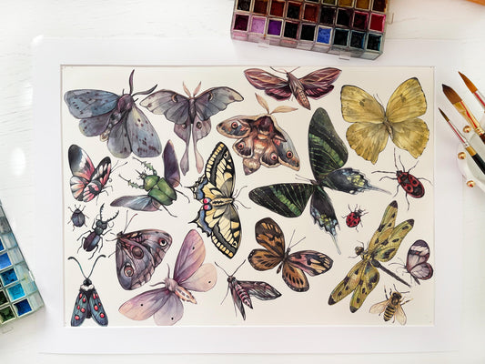 Butterfly Collection. Original watercolor painting.