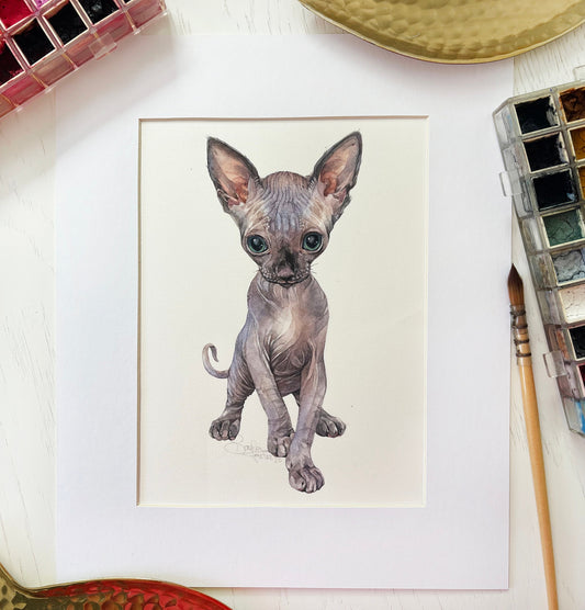 Sphynx Kitten. Original watercolor painting.