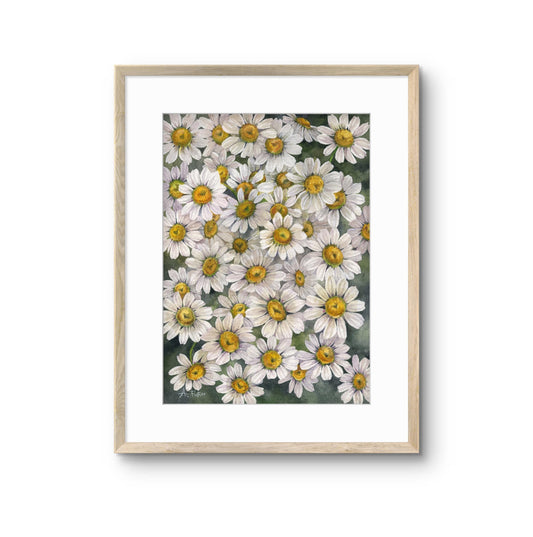 All the Daisies. Original watercolor painting.