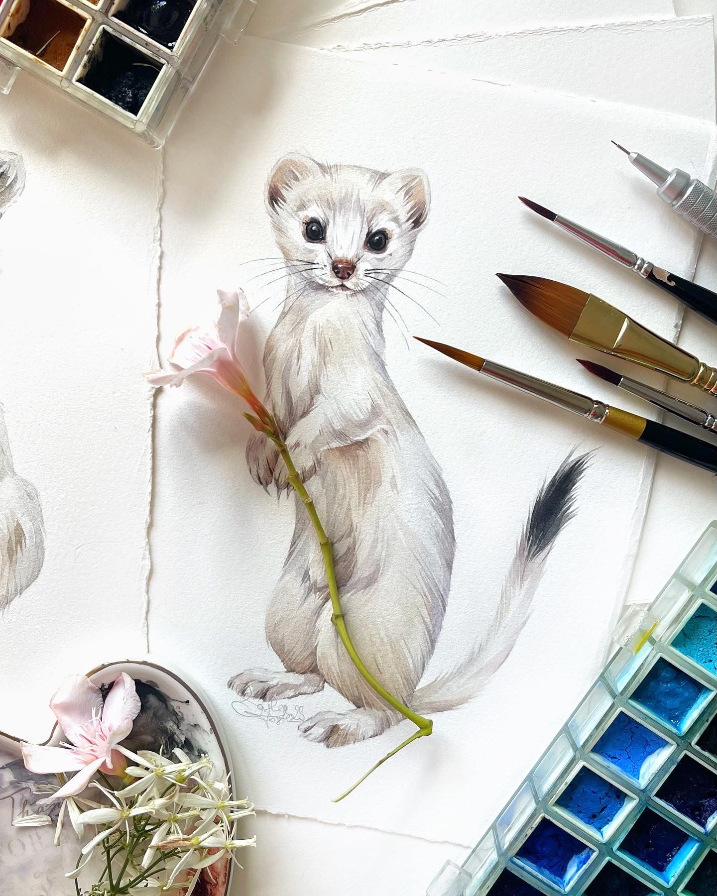 Baby Ermine. Original watercolor painting.
