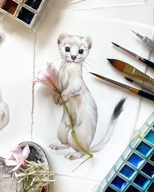 Baby Ermine. Original watercolor painting.